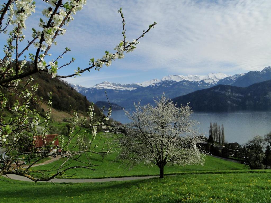 Seehotel Gotthard Weggis Kültér fotó
